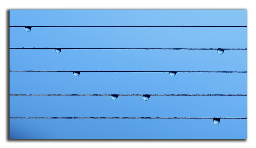 musica ( contest 5�)