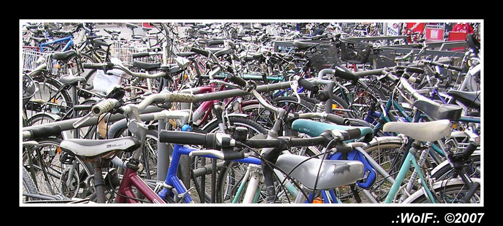 ...hai visto la mia bici?