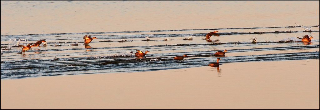 Corsie...d'atterraggio