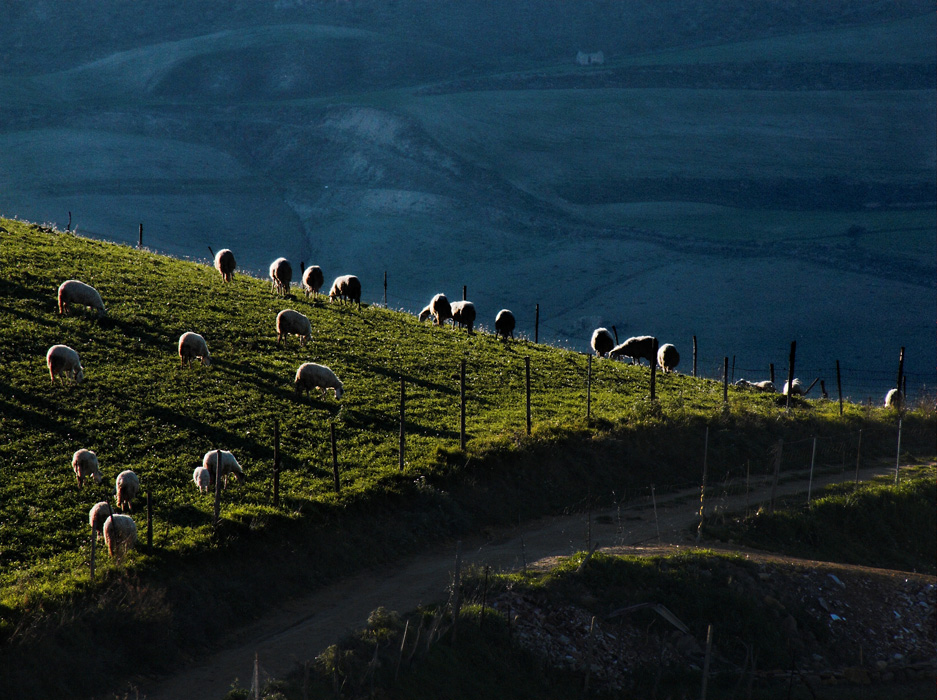 .: 14:01:2007 16:25 :.