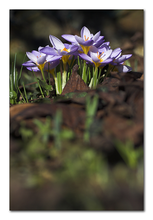 C'� sempre un po' di speranza