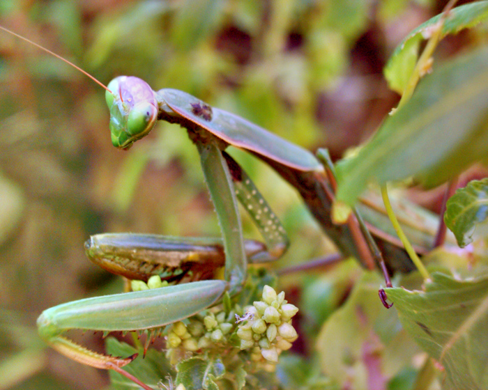 tana!! ti ho visto!!