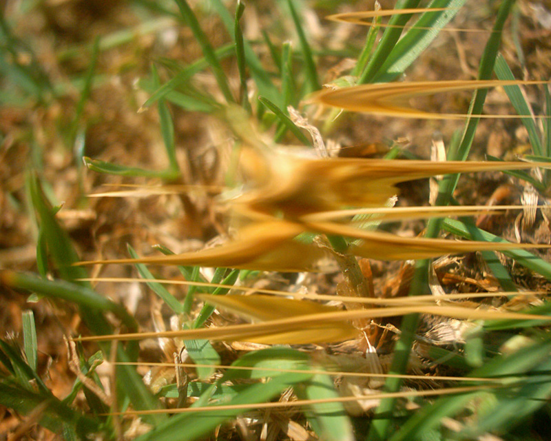 me la spiegate questa?