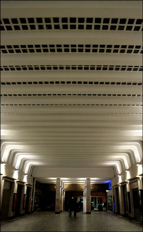 nella pancia della balena