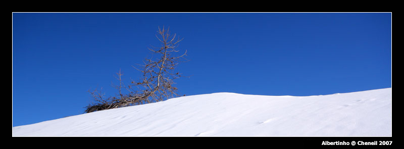 Giuseppe Abete detto Pino