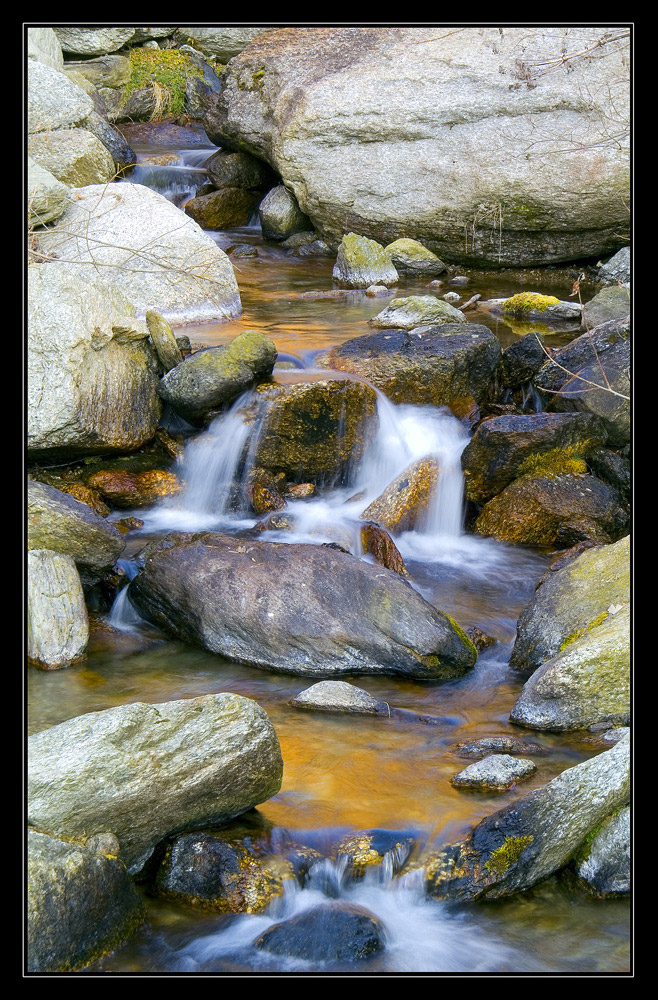 Lo Scorrere nel bosco...