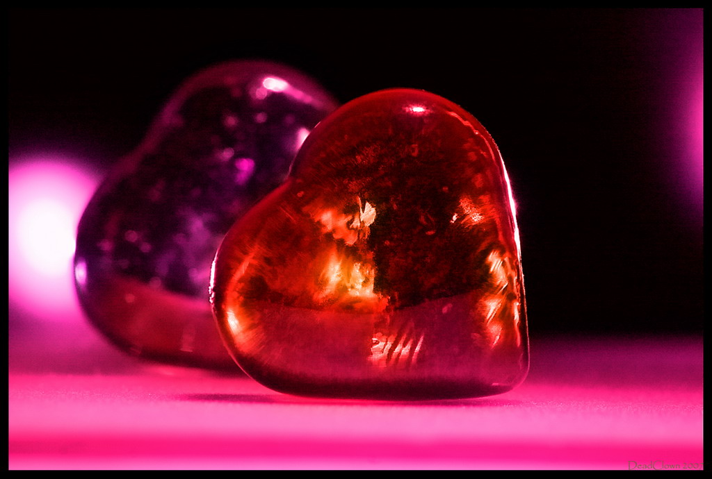 New Heart Old Feelings