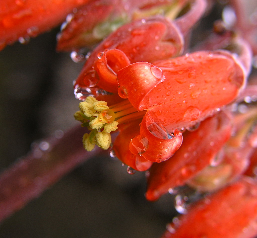 Tra uno scr�scio e l'altro!
