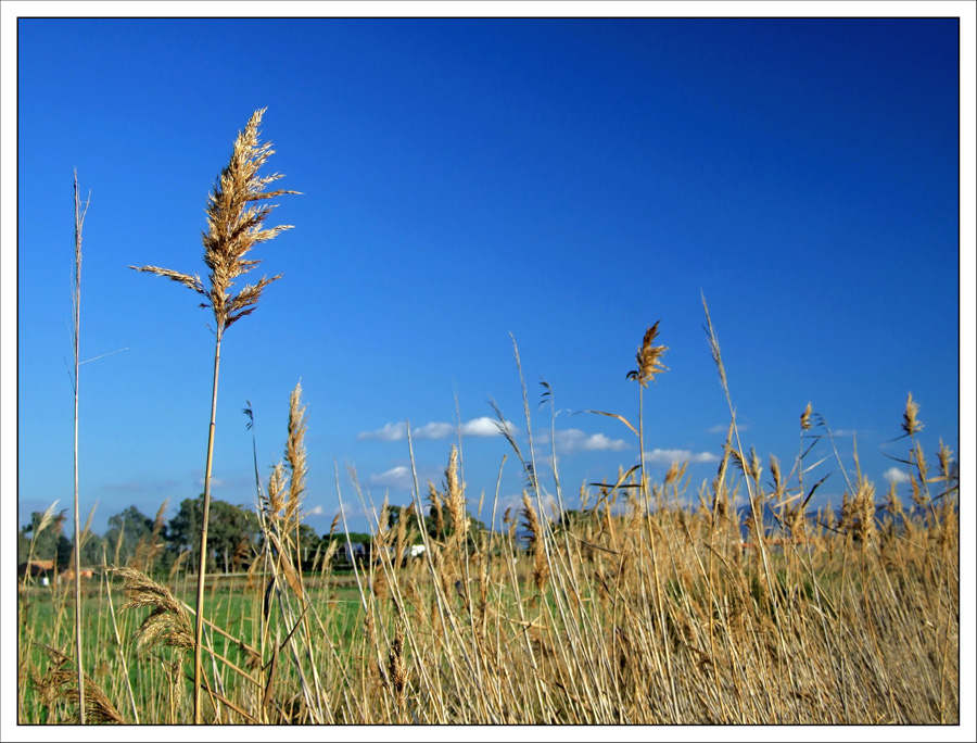 Puedes llegar hasta el ciel, si lo quieres...