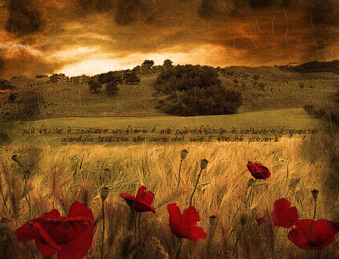 finch� piover�...