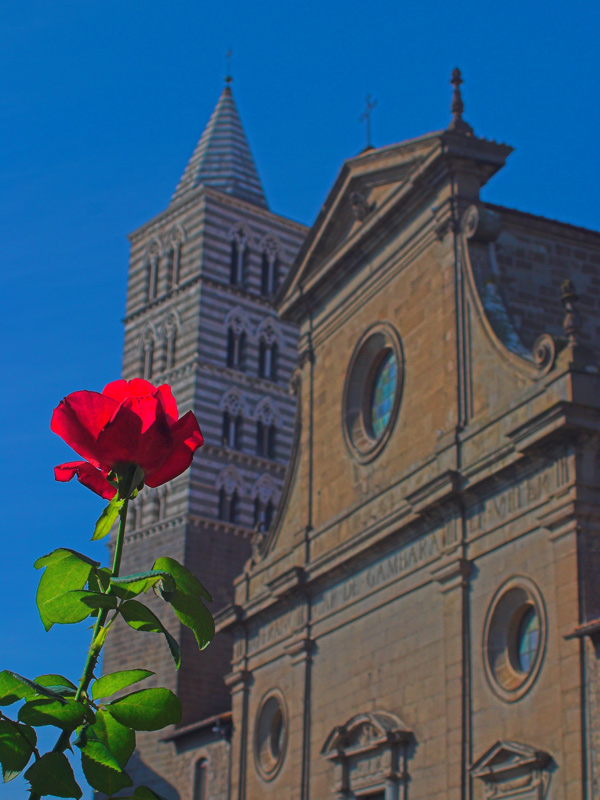 cartolina di viterbo