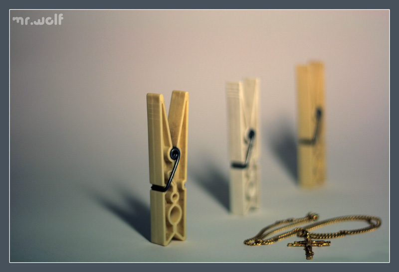 PROVA STILL LIFE 1 CON 50INO CANON