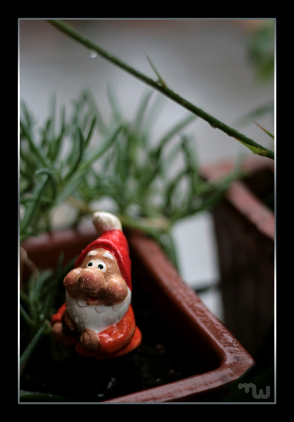 NANO FRADICIO MA CONTENTO