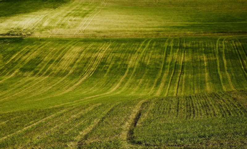 giochi di luci sul campo