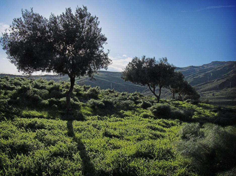 .: ombre lunghe:03 :.