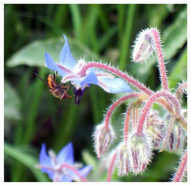 il mondo a testa in gi�