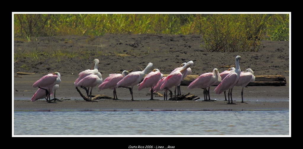 Costa Rica 2006 - Linea Rosa