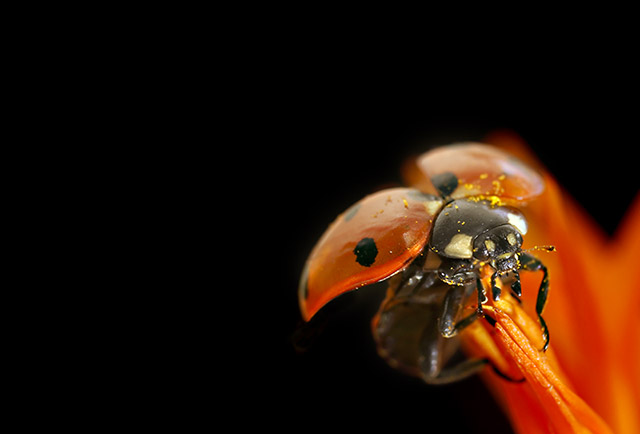 Dedicata a tutti....