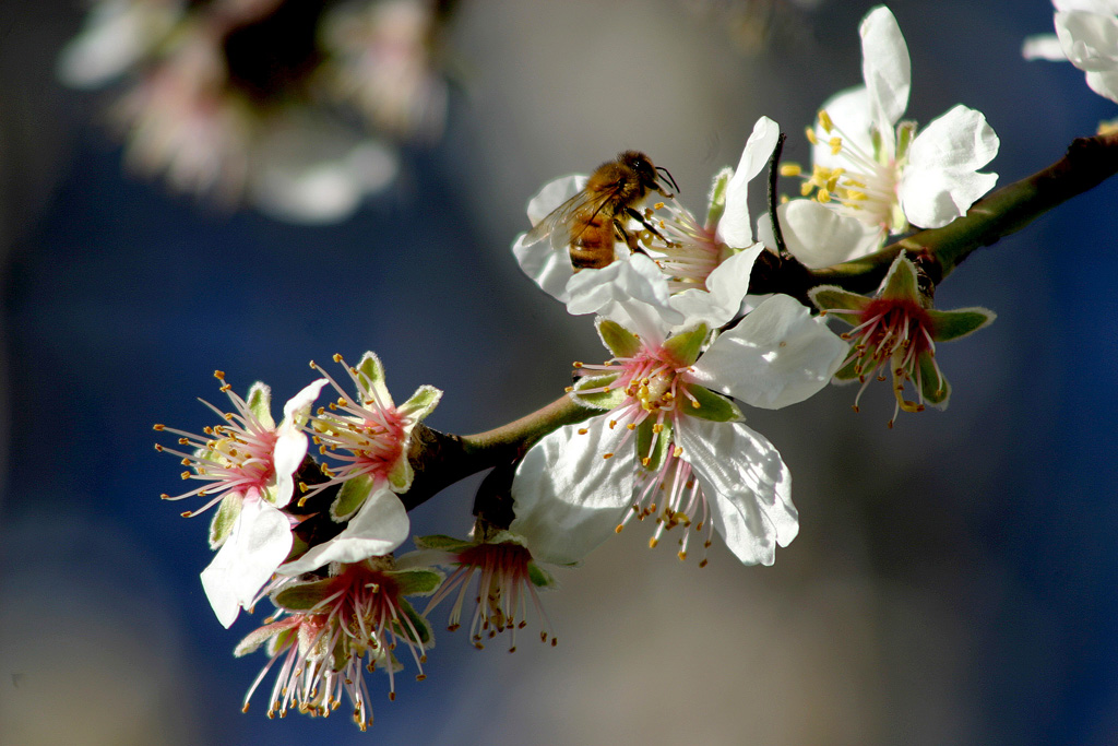 ...� ora di mangiare...