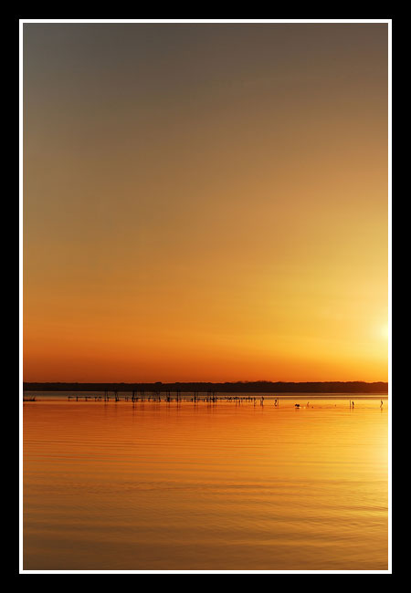lago massaciuccoli 03