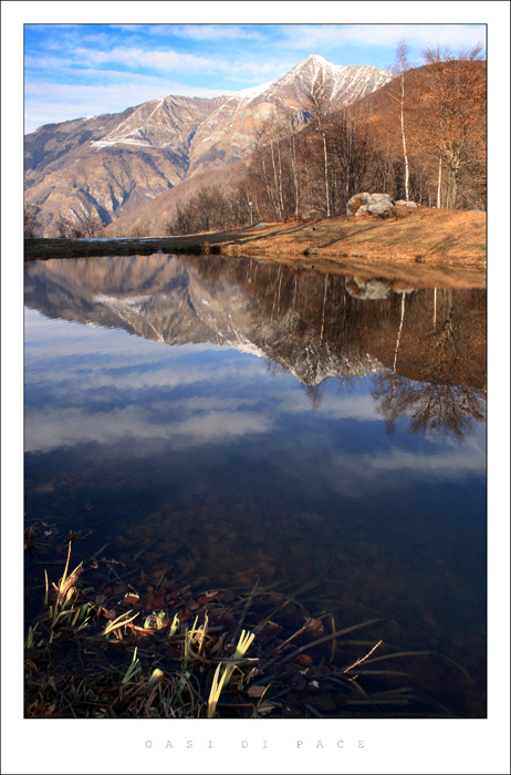 oasi di pace