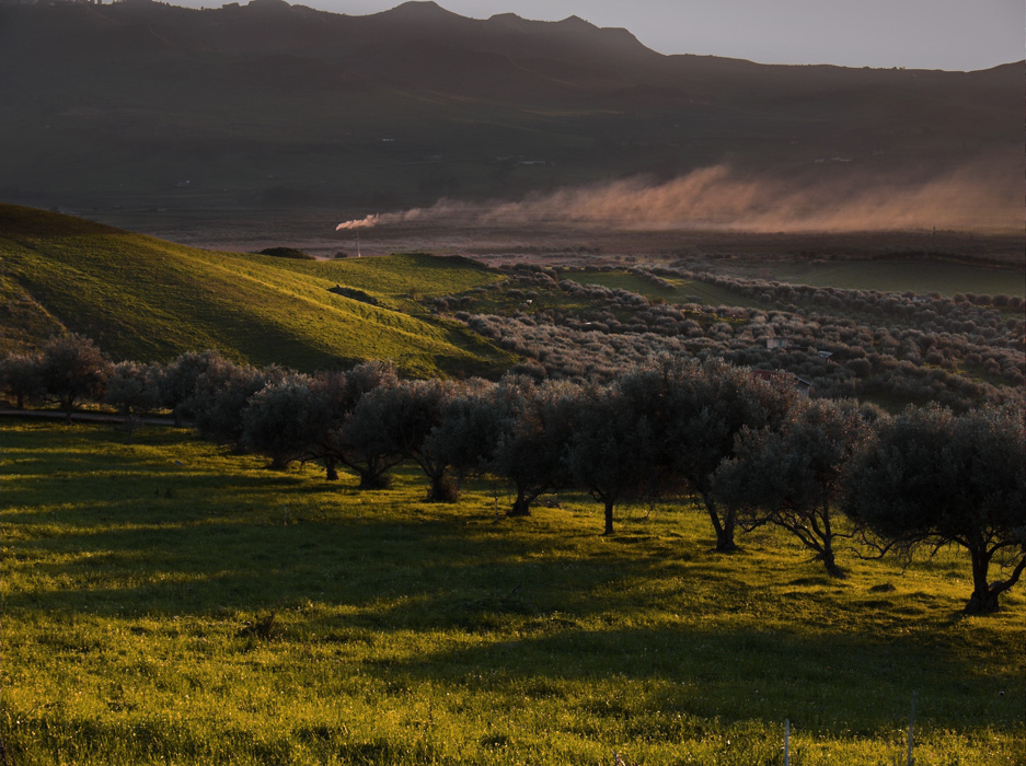 .: ombre lunghe:05 - locomotiva a vapore :.