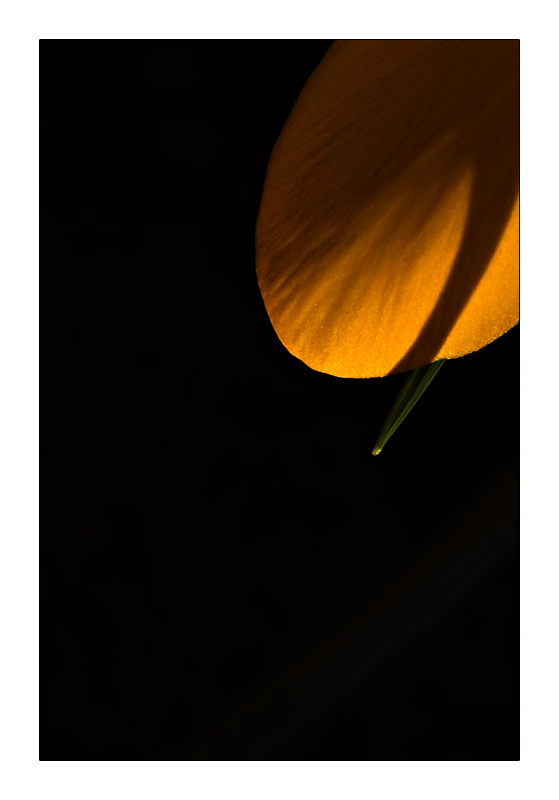 the clockwork orange