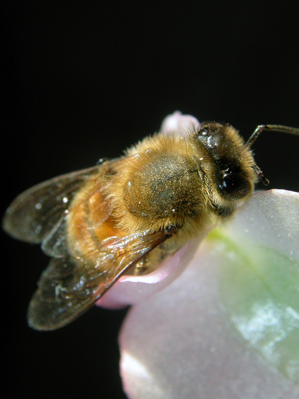 uffa..mai un attimo di riposo