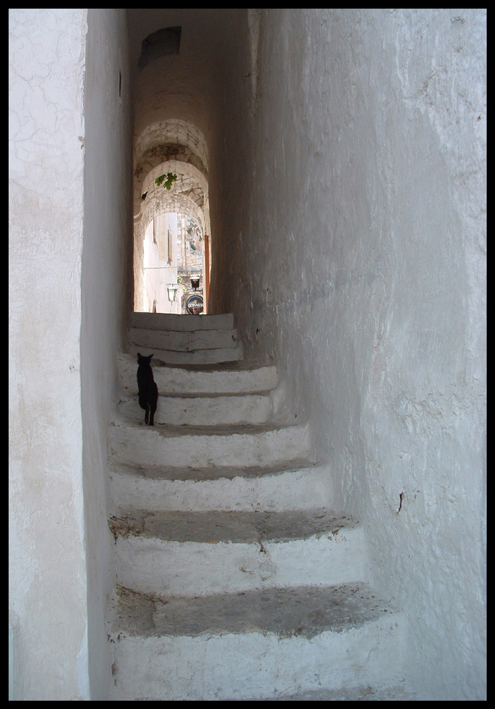 Per le antiche scale...