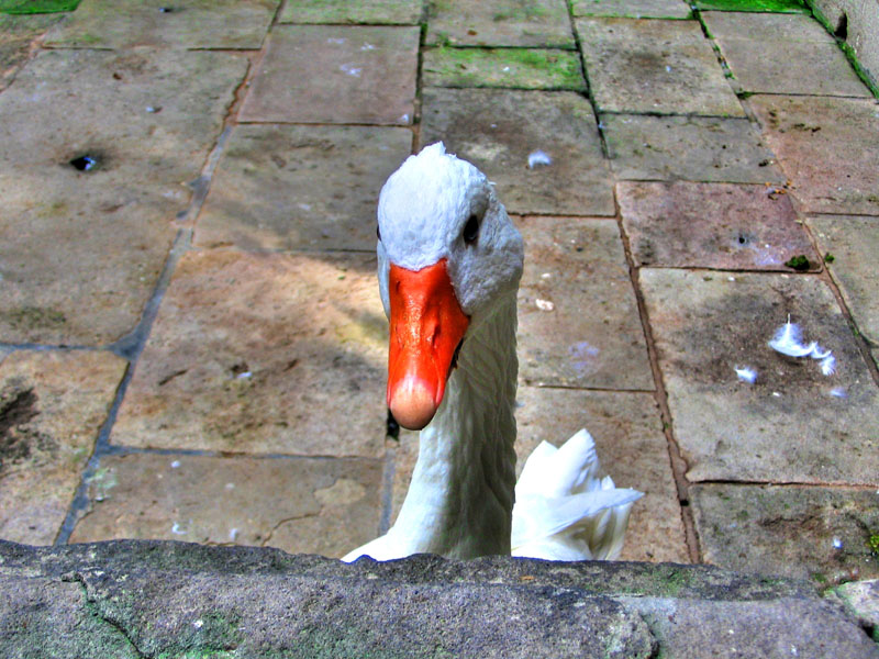 Una modella spagnola!