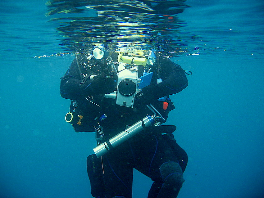 la parte migliore del... cinghiale!