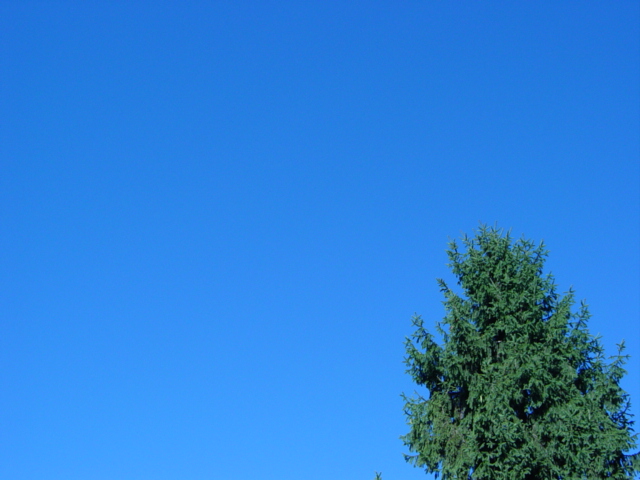 staggering blue sky
