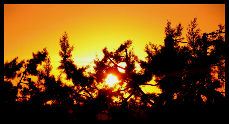 Tramonto