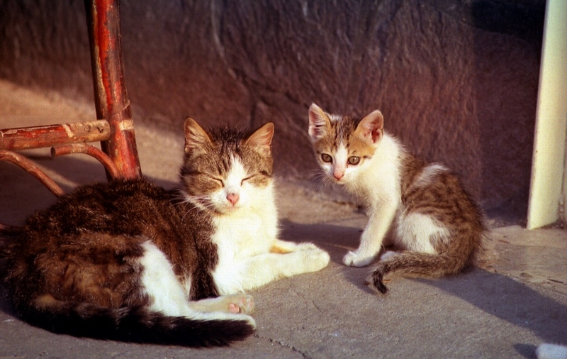 ...ultimo raggio di sole