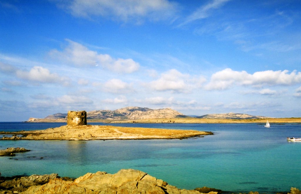 greetings from la pelosa