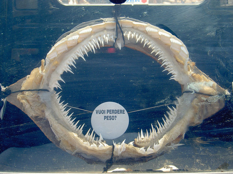 per chi si sente troppo in carne....