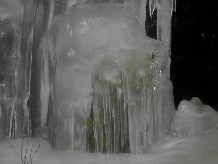 povero alberello!!!!!!!!