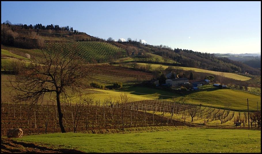 colline romagnole