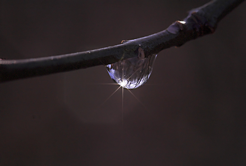 nel buio c'� sempre  una speranza