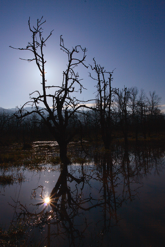 finalmente la pioggia