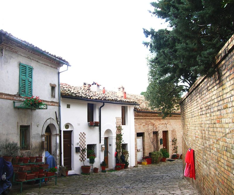 Dolce Signora Min�