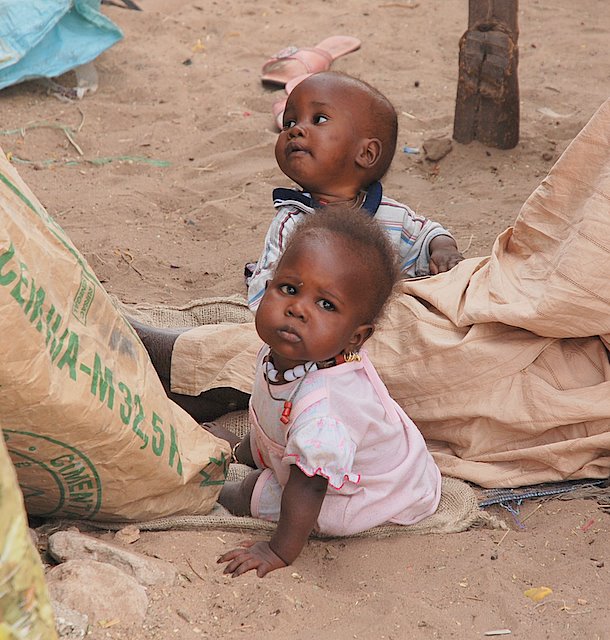 Gemellini senegalesi