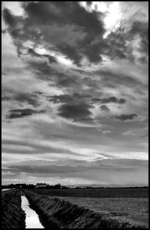 ..e la pioggia verr�...