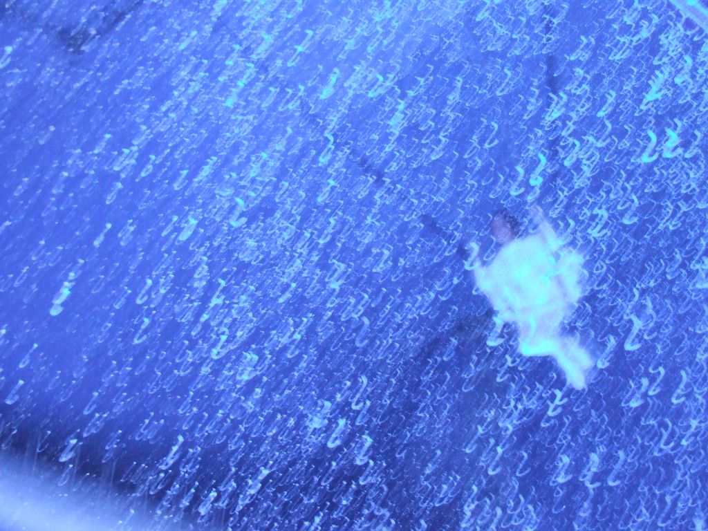 Angelo nella neve