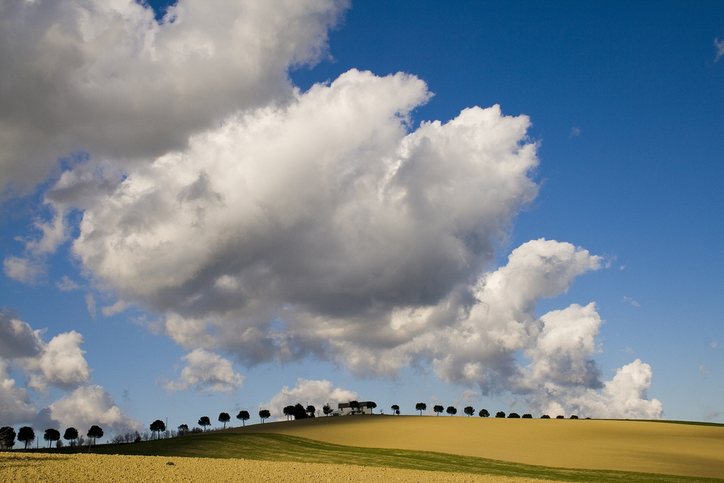 Profili di "Marca" 2 bis