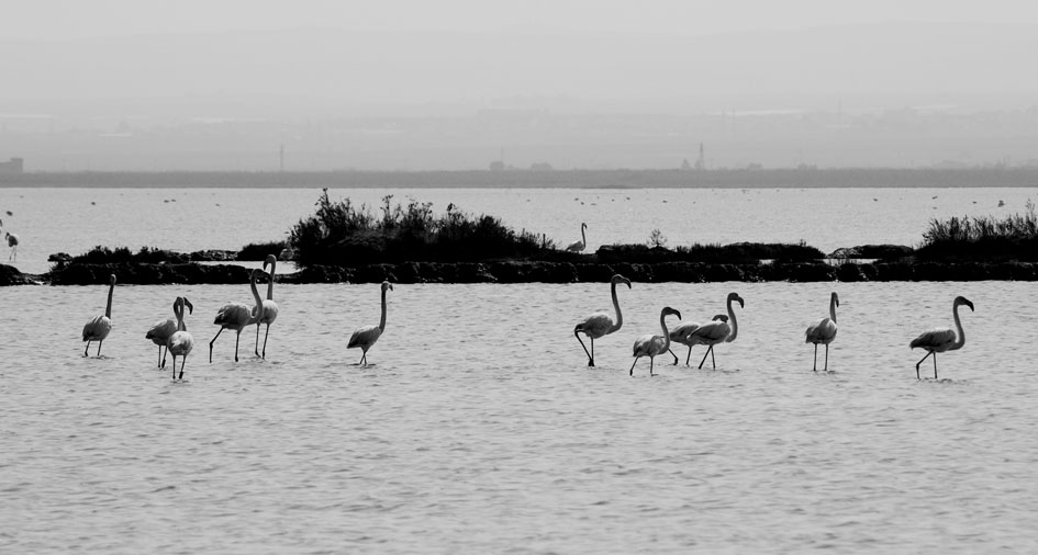 a spasso per la salina