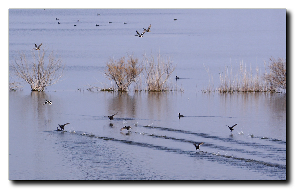 correre sull'acqua...