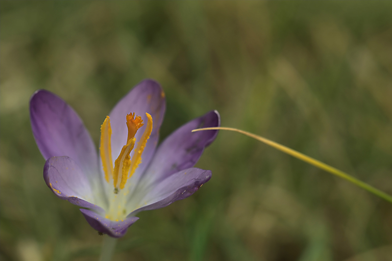 gli ultimi ritocchi dell'artista