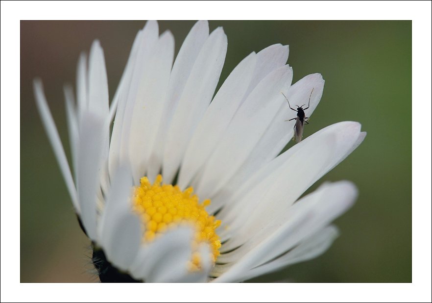 Questo piccolo mondo