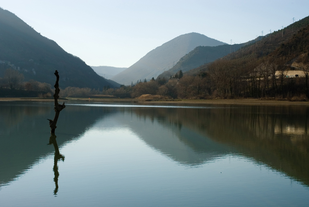 Alone ...bastone solitario